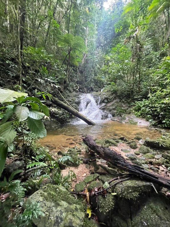 Foto - Macaé - Sana