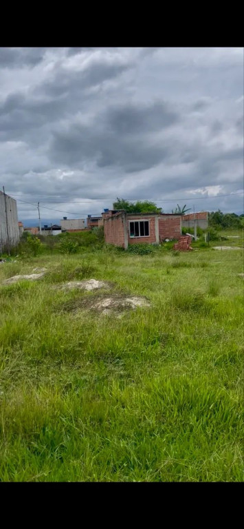 Foto - Duque de Caxias - Carolina
