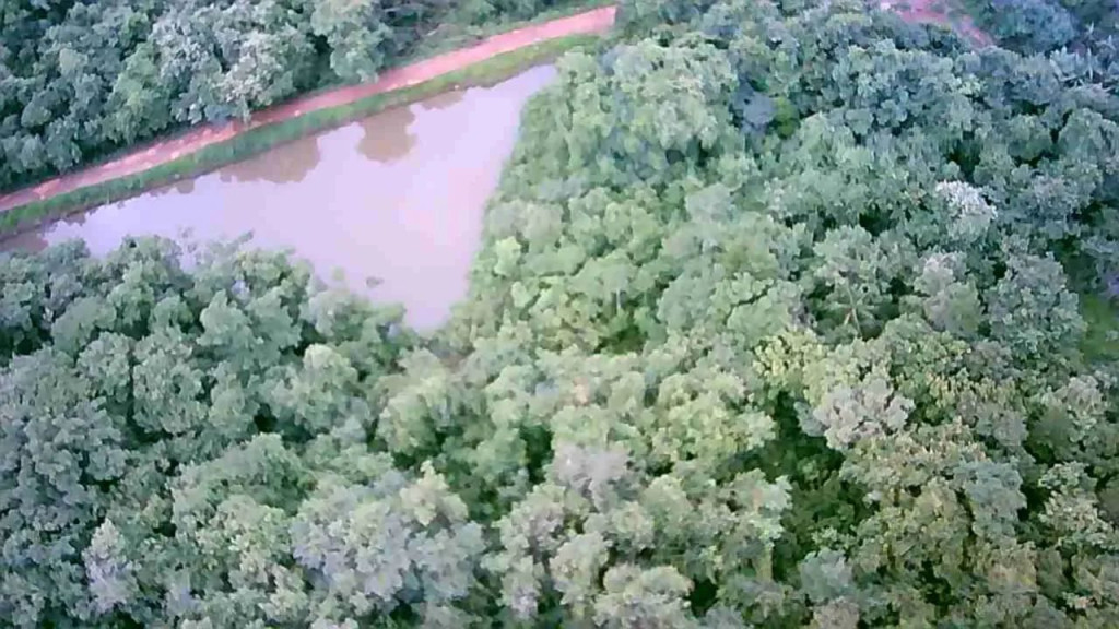Foto - Uberlândia - Centro