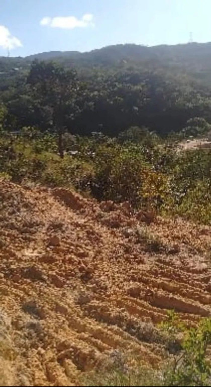 Foto - Santa Luzia - São Cosme de Baixo (São Benedito)