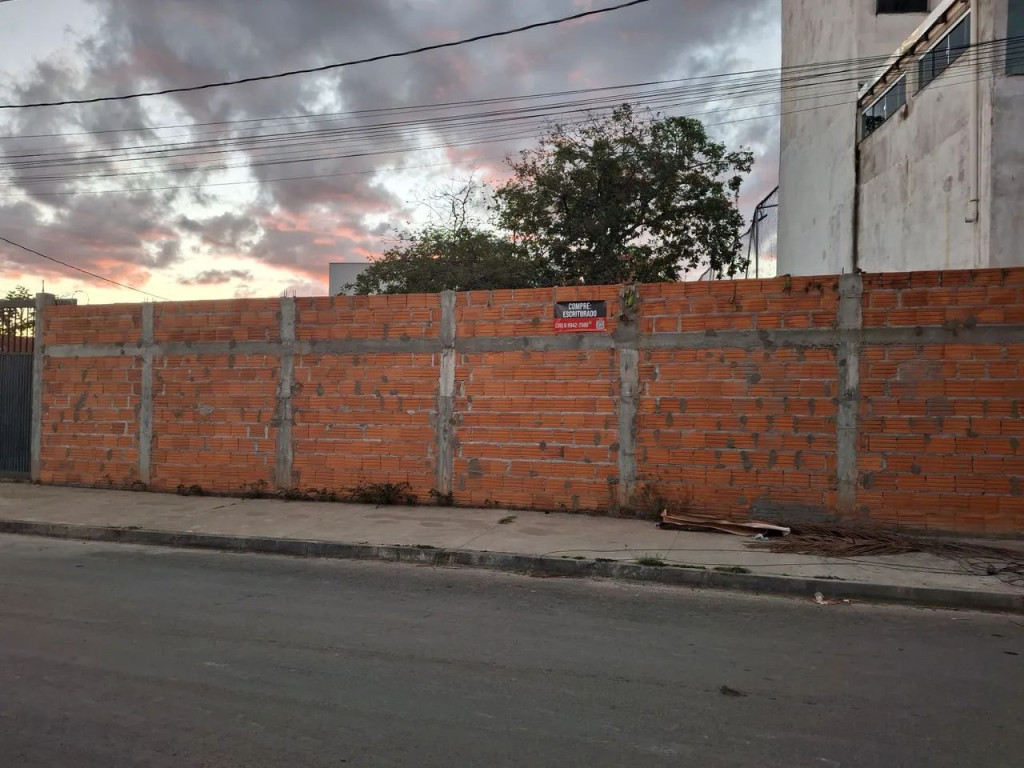 Foto - Montes Claros - Canelas