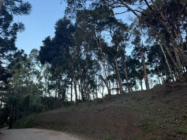 Foto - Campina Grande do Sul - 