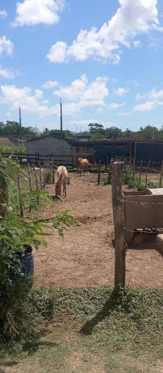 Foto - Aracaju - Jardim Centenário