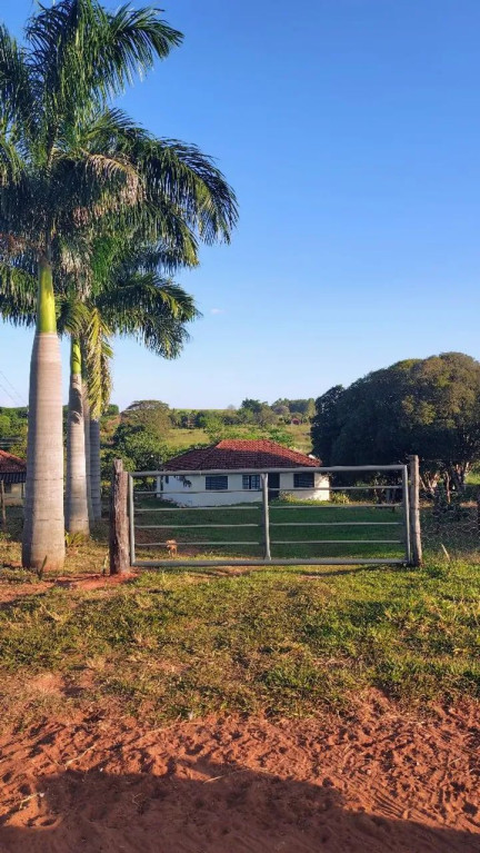 Foto - Fernandópolis - Área Rural de Fernandópolis