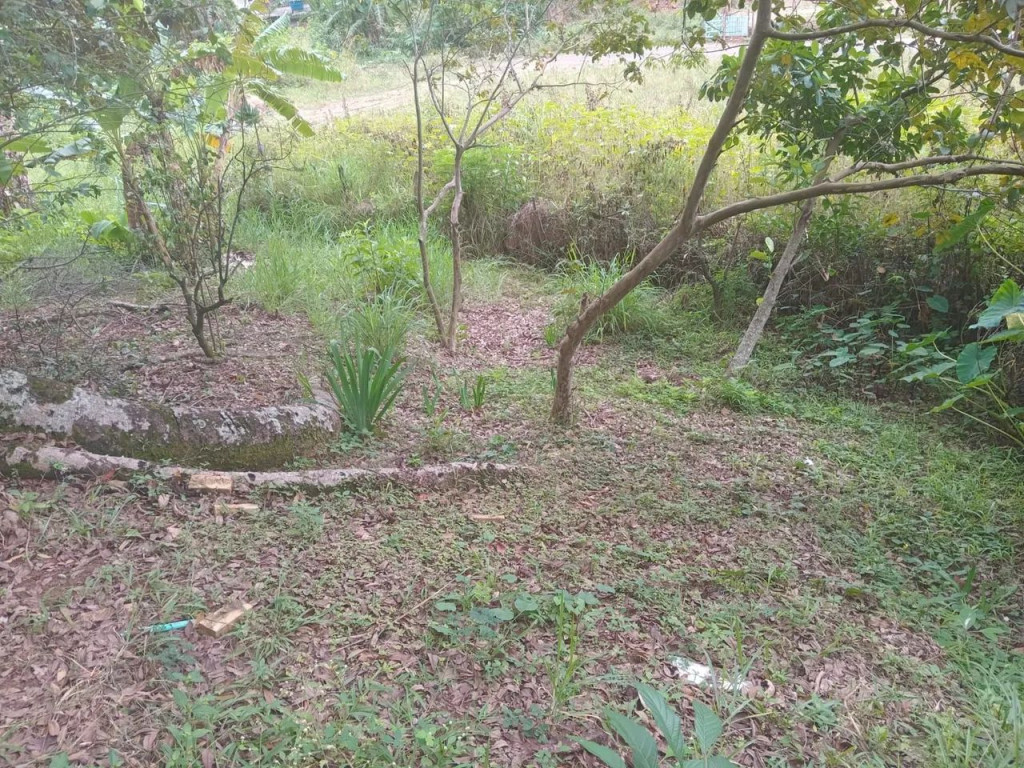 Foto - Volta Redonda - Aterrado