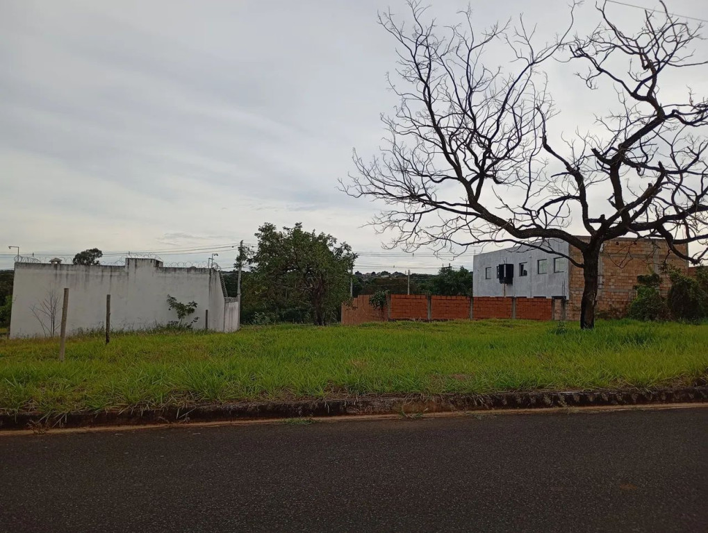 Foto - Uberlândia - Laranjeiras