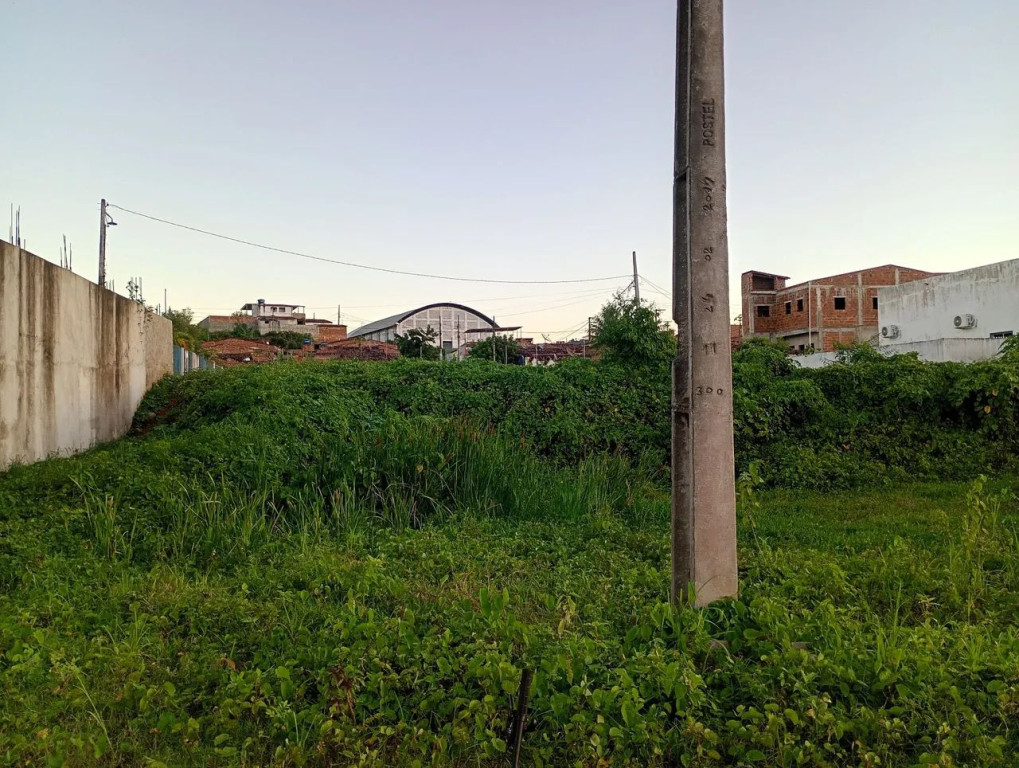 Foto - Pirpirituba - 