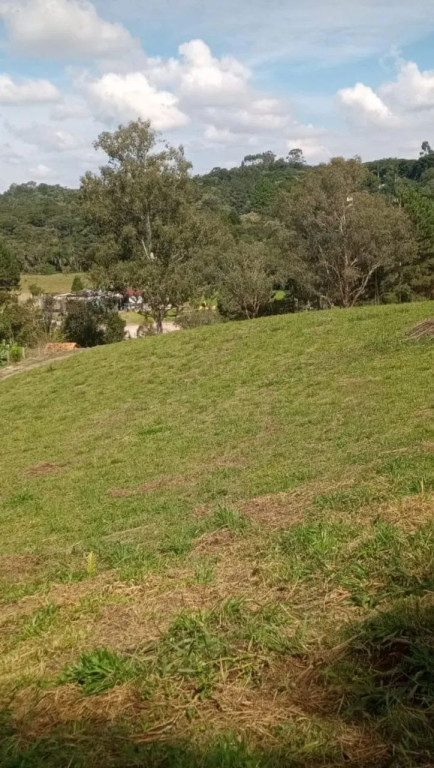 Foto - São José dos Pinhais - Borda do Campo