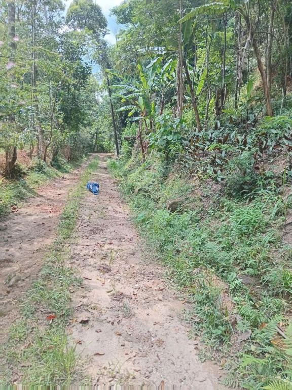 Foto - Engenheiro Paulo de Frontin - 