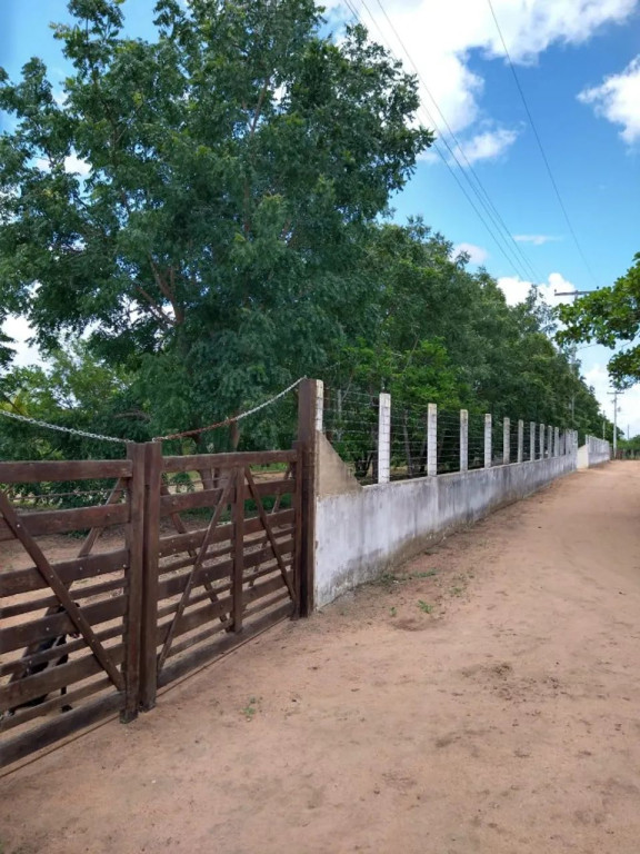 Foto - Estrela De Alagoas - 