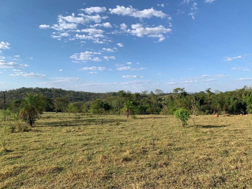 Foto - Goiânia - Jardim Ana Lúcia