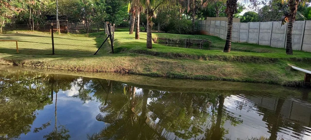 Foto - Goiânia - Setor Cândida de Morais