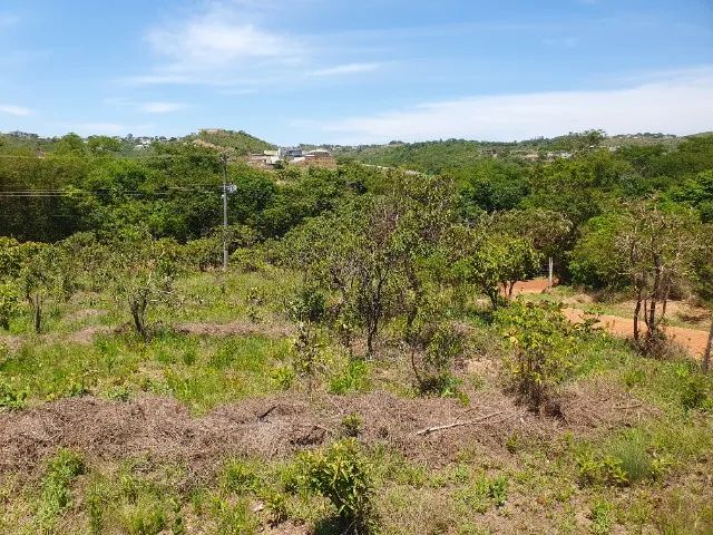 Foto - Brasília - Setor Habitacional Jardim Botânico