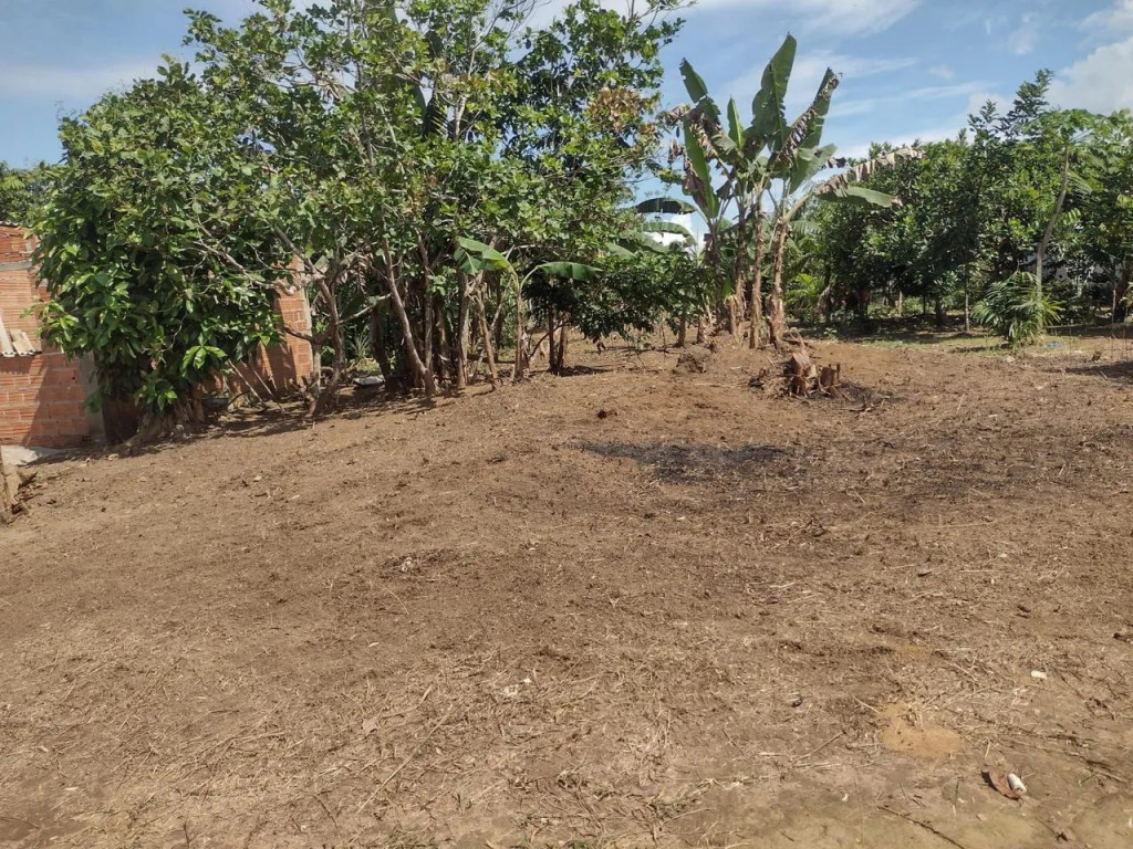 Foto - Manaus - Santa Etelvina