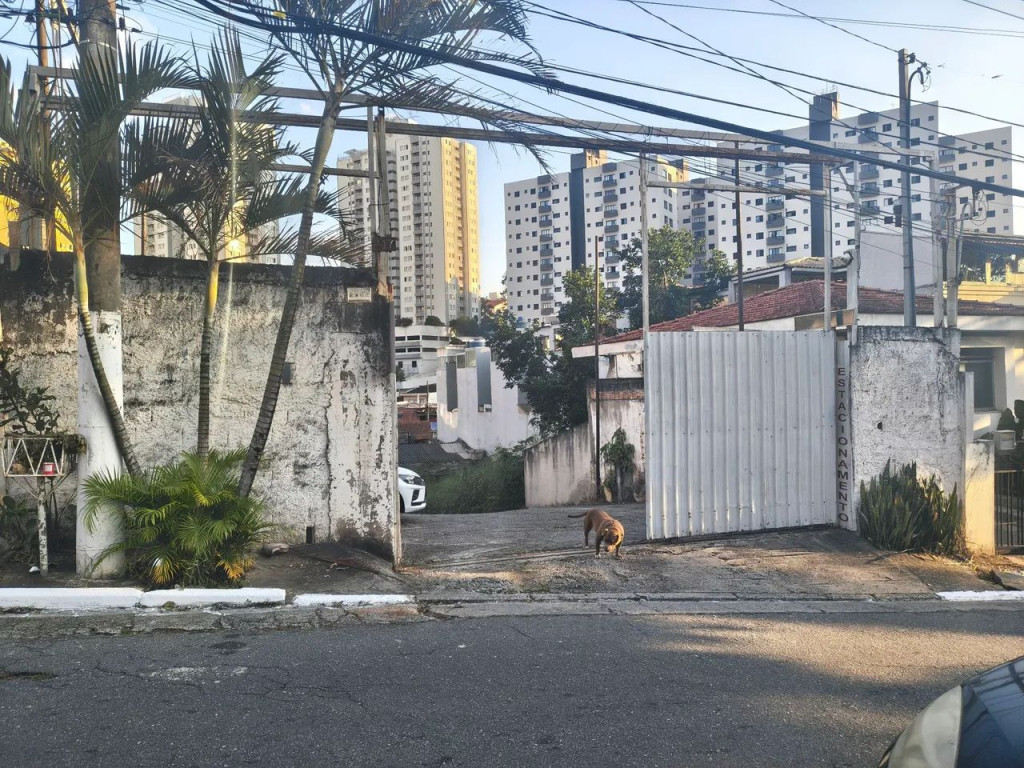Foto - São Paulo - Parque Mandaqui