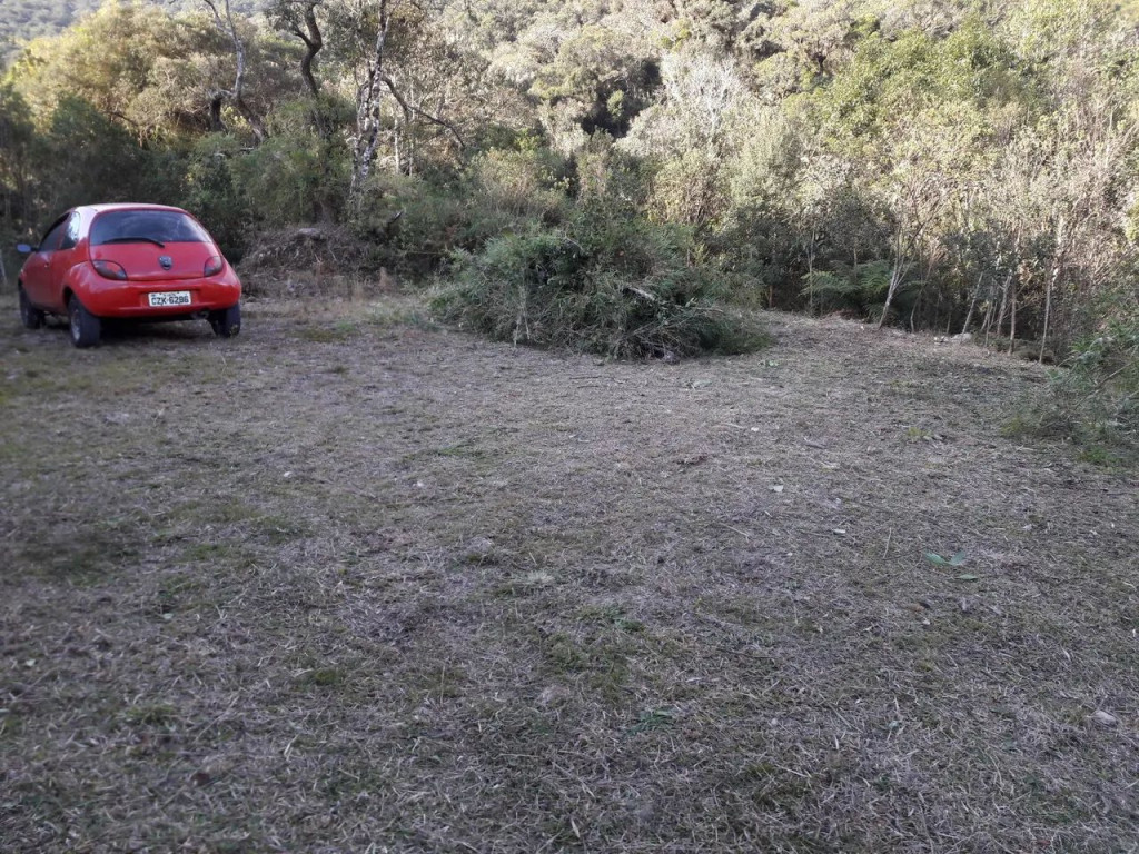 Foto - Curitiba - Capão Raso