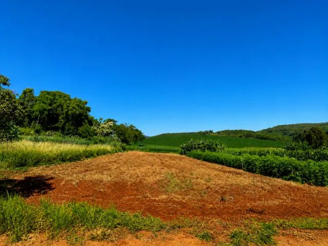 Foto - Arapongas - Área Rural de Arapongas