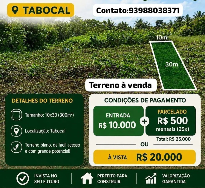 Foto - Santarém - Floresta