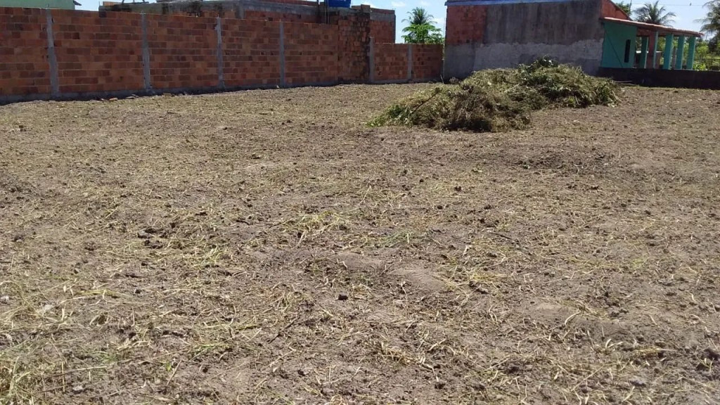 Foto - Aracaju - Jabotiana