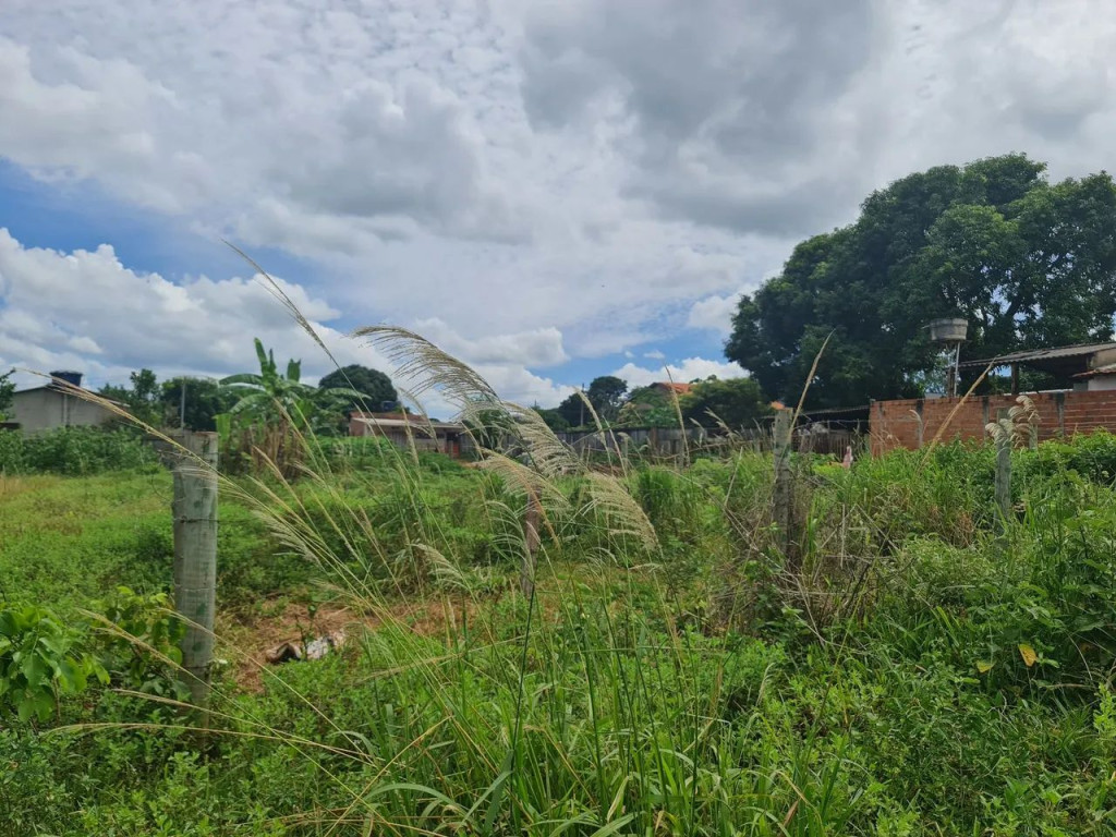 Foto - Goiânia - Jardim Curitiba