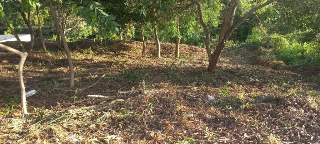 Foto - São Mateus - Carapina