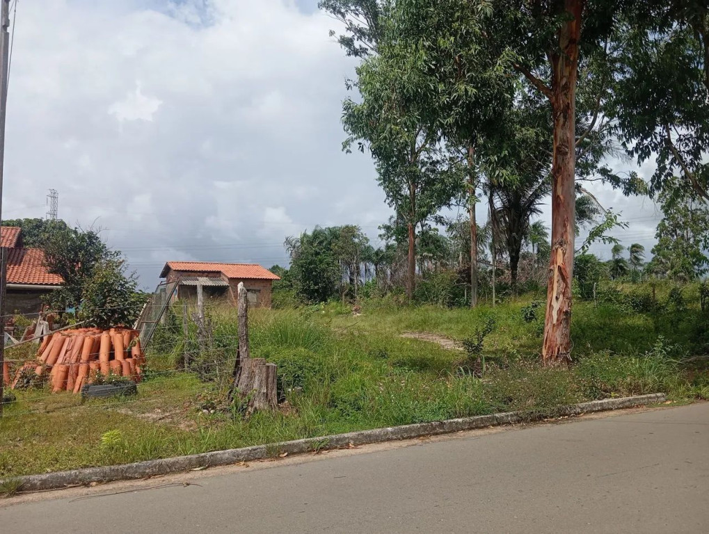 Foto - São Luís - Tirirical