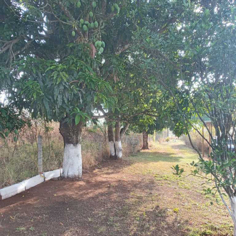 Foto - Brasília - Brazlândia