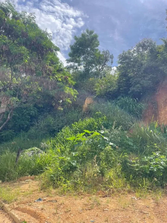 Foto - Vespasiano - Gávea