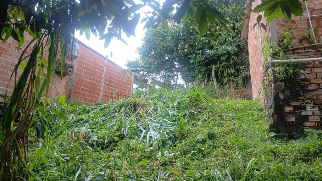 Foto - Manaus - Jorge Teixeira