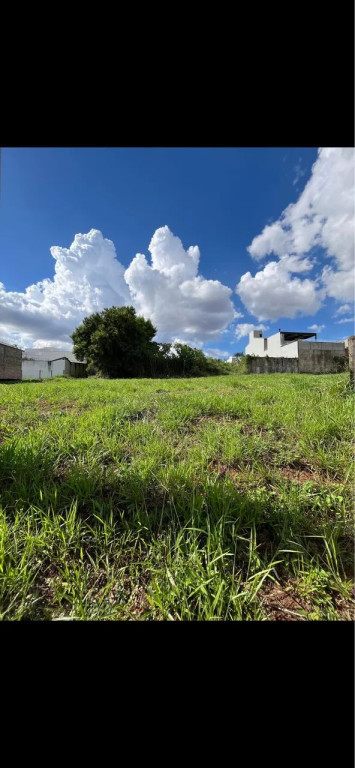 Foto - Uberlândia - Vigilato Pereira