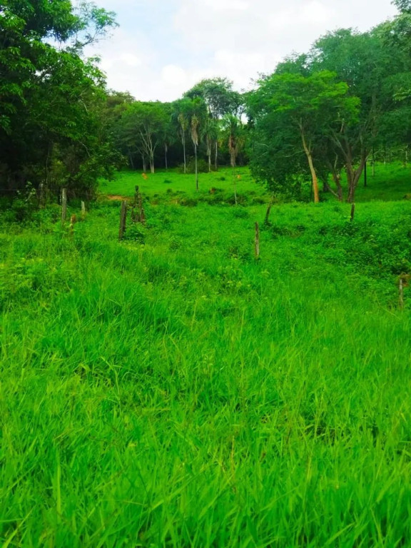 Foto - Brasília - Taguatinga Centro (Taguatinga)