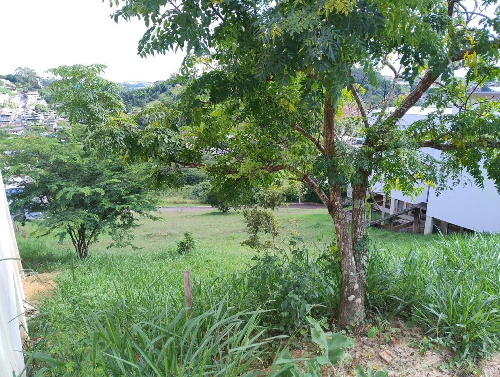 Foto - Juiz de Fora - Alto dos Passos