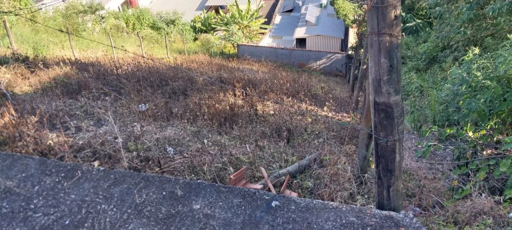 Foto - Juiz de Fora - Parque Independência