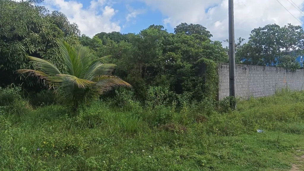 Foto - Itaparica - 