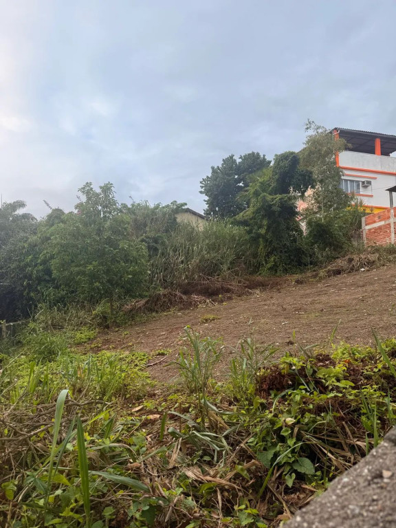 Foto - Rio de Janeiro - Barra da Tijuca