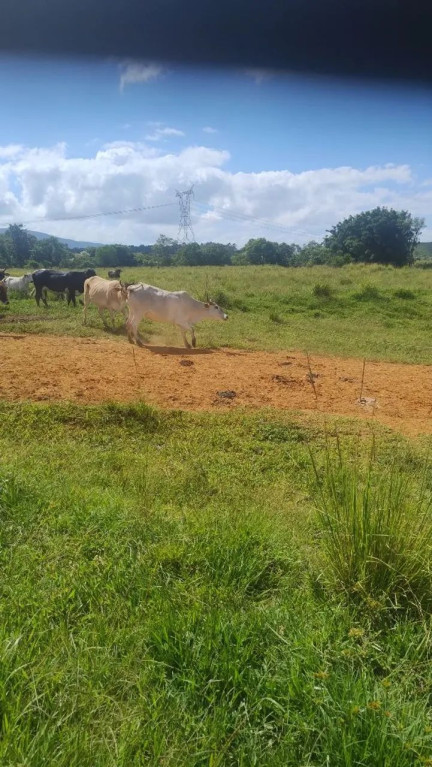 Foto - Biguaçu - Área Rural de Biguaçu