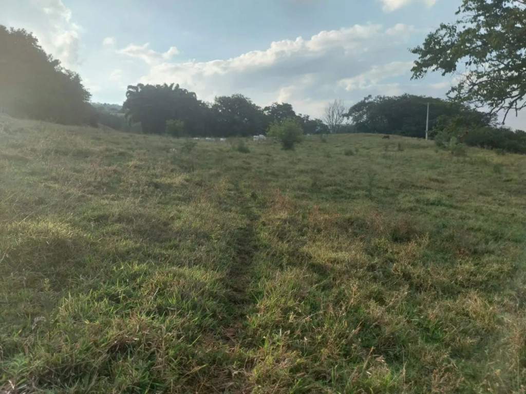 Foto - Cássia dos Coqueiros - Centro