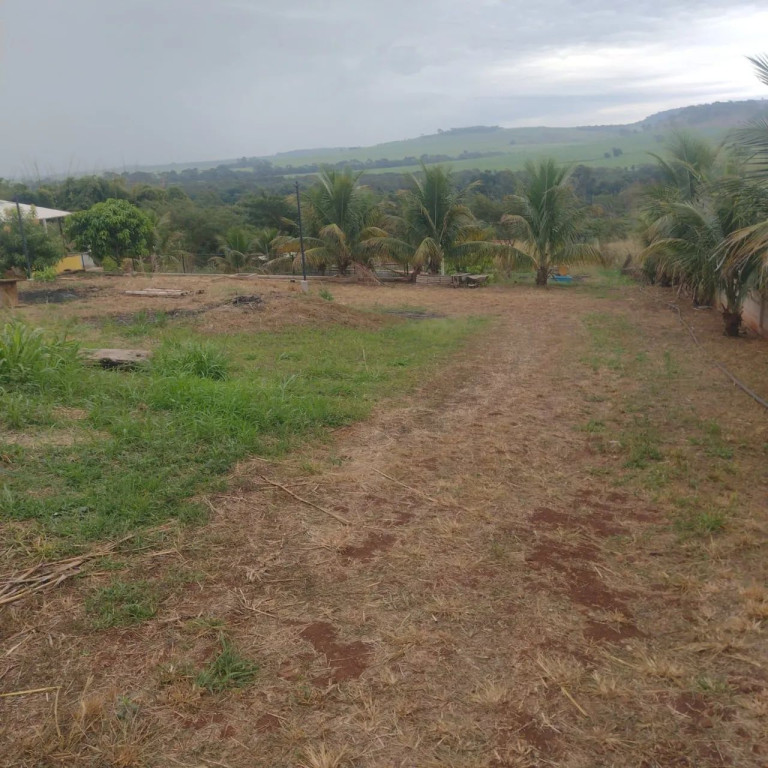 Foto - Ribeirão Preto - Campos Elísios