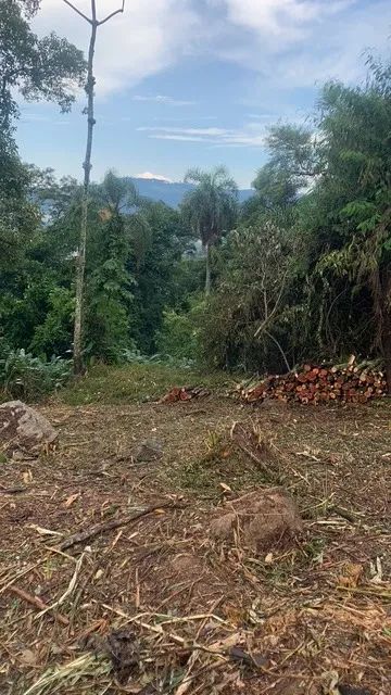 Foto - Mairiporã - Caraguatá