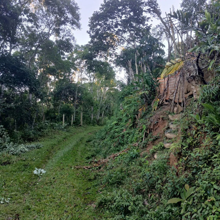 Foto - São Paulo - Vila Isa