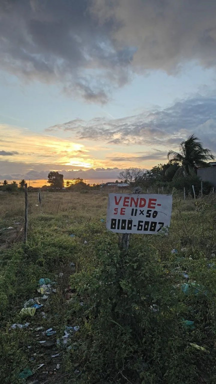 Foto - Feira de Santana - Asa Branca