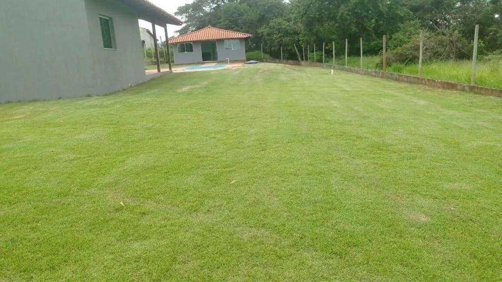 Foto - Mateus Leme - 