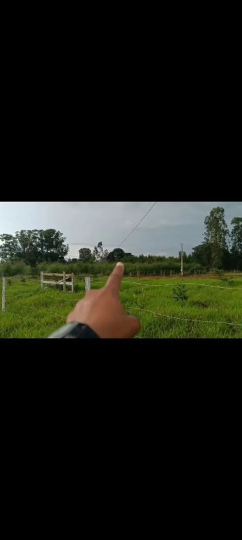 Foto - Goiânia - Jardim América