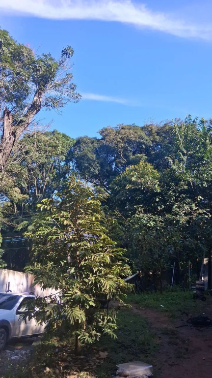 Foto - São Paulo - Jardim Santa Bárbara