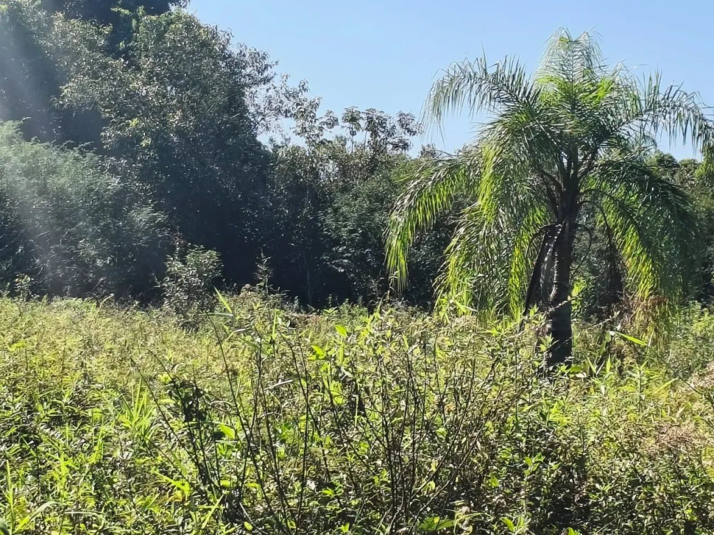 Foto - Peruíbe - Balneário Caraguava