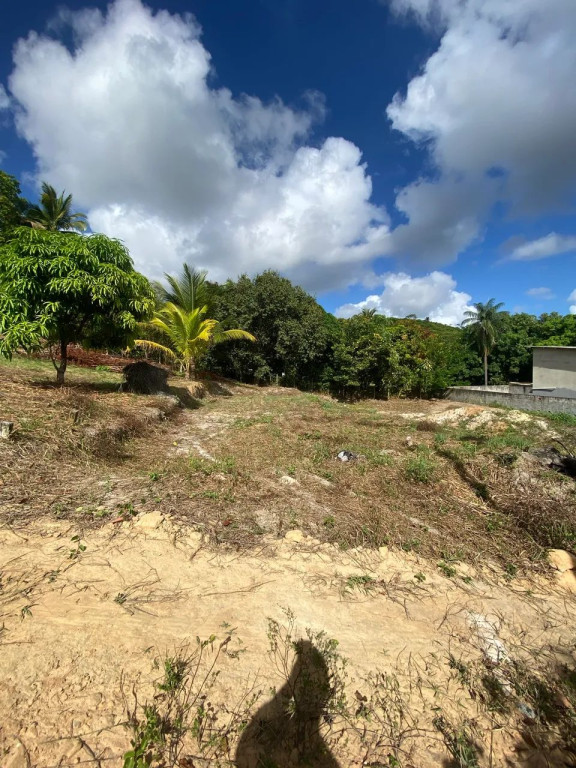Foto - Paulista - Vila Torres Galvão