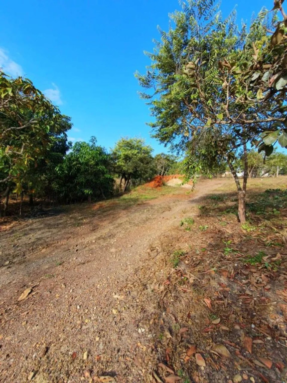 Foto - Brasília - Setor Sul (Gama)