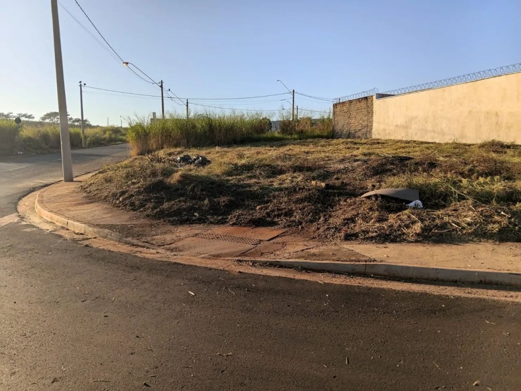 Foto - Ribeirão Preto - Reserva Macaúba