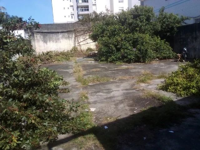 Foto - Caraguatatuba - Sumaré