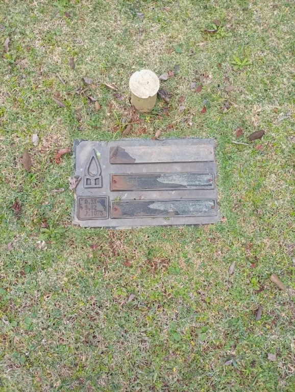 Foto - Curitiba - Bigorrilho